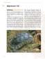 Preview: Die Breitrandschildkröte